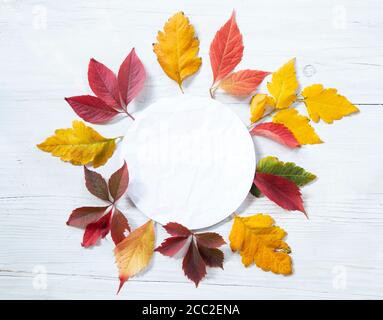 Colorful autumn leaves with a white blank note Stock Photo