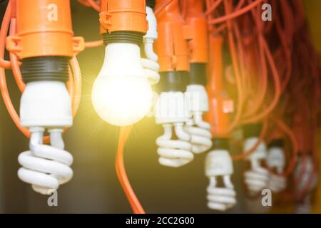 Photo of hanging light bulbs with depth of field. One light shines. Concept of leadership.