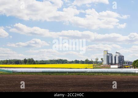 Field of rapeseed flowers, plant for cleaning and storage of agricultural products, flour, cereals and grains. Stock Photo