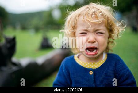 Portrait of small girl outdoors in garden, crying. Stock Photo