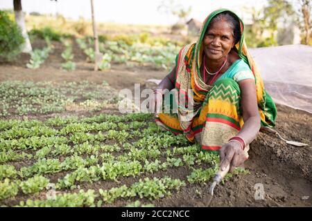 on her small farm in the state of Bihar, India. Stock Photo