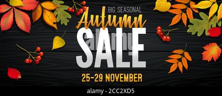 Advertising banner about Autumn Sale at the end of season with bright fall leaves. Invitation for shopping with 50 percent off. Trendy style, dark red Stock Vector
