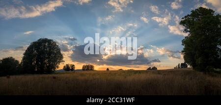 meadow with trees at sunset - setting sun, summer evening in the countryside Stock Photo