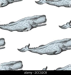 Vector Monochrome Seamless Pattern With Whales In Sketch Style. Stock Vector