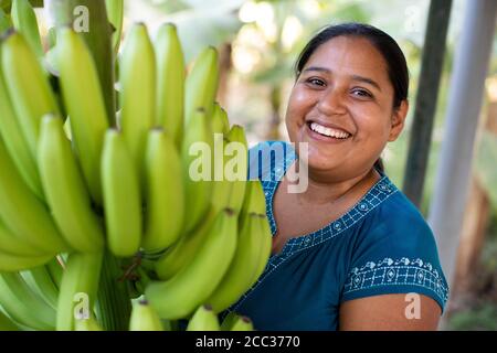 A young Latina woman smiles with a bunch of bananas hanging on her farm in rural Sullana Province, Peru, South America. Stock Photo