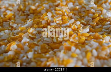 Corn for hominy. Dish known in different regions of Brazil, hominy can be white or yellow when made with corn. It has several benefits for our health. Stock Photo