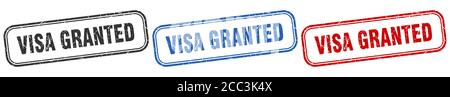 visa granted square isolated sign set. visa granted stamp Stock Vector