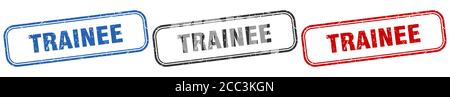 trainee square isolated sign set. trainee stamp Stock Vector