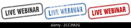 live webinar square isolated sign set. live webinar stamp Stock Vector