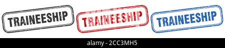 traineeship square isolated sign set. traineeship stamp Stock Vector
