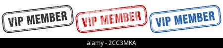 vip member square isolated sign set. vip member stamp Stock Vector