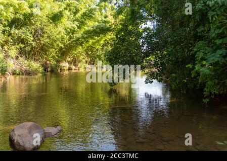 Rural And Natural Landscape Where A Stream Appears And The Cilir Forest  Around It. Interior Of The Municipality Of Silveira Martins In Southern  Brazil Stock Photo - Alamy