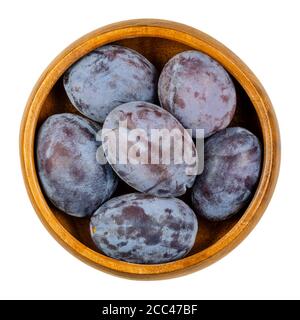 Zwetschge. Ripe European plums in wooden bowl. Freestone fruit with purple and violet skin. Popular seasonal table fruit in Central Europe. Prunus. Stock Photo
