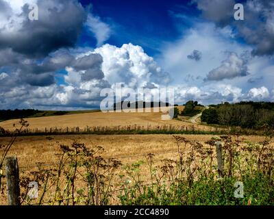 Dramatic cloud formations above the pre-historic hill fort of Chanctonbury Ring on the South Downs above Steyning, West Sussex Stock Photo