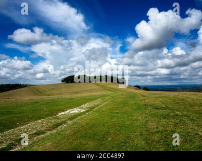 Ring of trees: the pre-historic hill fort of Chanctonbury Ring on the South Downs Way, West Sussex, England Stock Photo