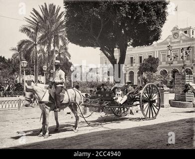 Old Havana. A horse-drawn cab. Cuba. 1904 Stock Photo