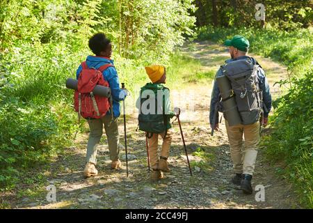 Rear view of family of three walking in the forest together Stock Photo