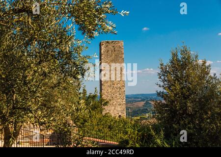 Gorgeous view of the Torre dei Cugnanesi next to an olive tree. The defensive tower is seen from the orchard-like public garden enclosed by La Rocca... Stock Photo