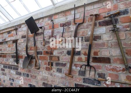 Selection of old 1900's garden tools hanging on brick wall of greenhouse Stock Photo