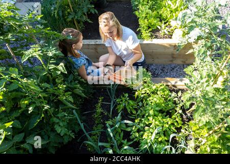 Mother And Daughter Digging In Raised Vegetable Beds At Home Stock Photo