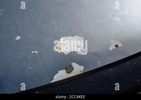 Car bonnet with damaged metal protective coating. A cleaned coat of paint that allows rust and corrosion to affect the car's bodywork. Car service. Stock Photo