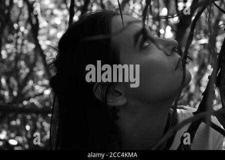 Young Woman Among Branches in the Forest Stock Photo