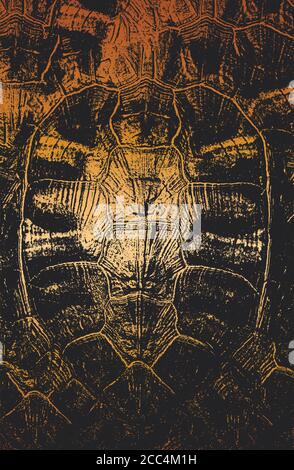 Distress turtle, tortoise skin shell grunge texture. EPS 8 vector illustration. Stock Vector