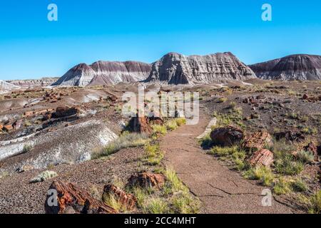 A gorgeous view of the landscape in Petrified Forest National Park, Arizona Stock Photo