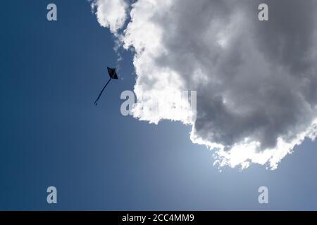 black kite flying next to a white cloud on a blue sky background Stock Photo
