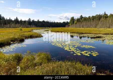 Lake landscape at West Rose Pond in Algonquin Provincial Park Stock Photo