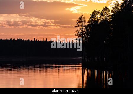 Fairytale mystical foggy forest, fantastic sunset on the lake, dark pine wood reflecting in the calm water. Stock Photo