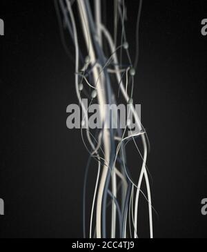 Medical illustration of knee arteries and lymphatic system, Human anatomy, 3d illustration Stock Photo