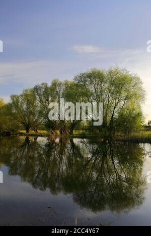 Autumn sunset, river Nene Valley, near Castor village, Cambridgeshire County, England; UK Stock Photo