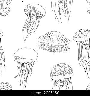 Jellyfish graphic black white seamless pattern background sketch illustration vector Stock Vector