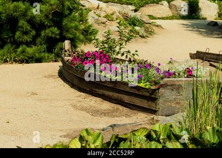 Beautifully designed flowerbed in the form of a boat of flowers of different colors. Stock Photo
