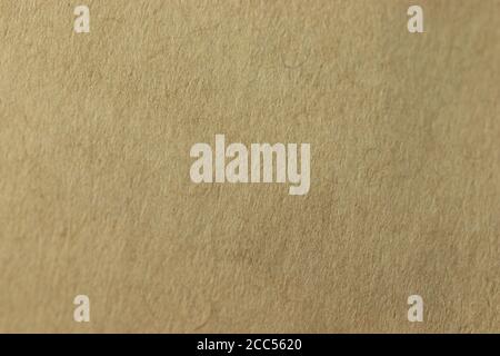 Light brown paper texture background macro Stock Photo