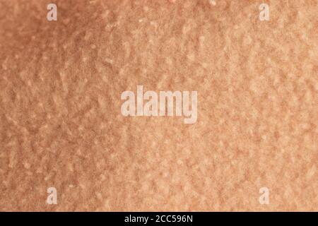 Light pink wool textile texture background Stock Photo