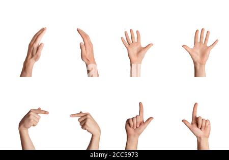 Collage with multitude of male hands showing variety of sign language gestures, isolated on white Stock Photo