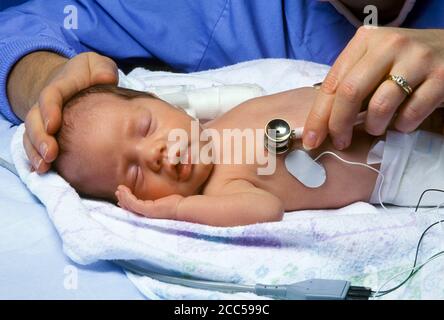Nurse attends premature infant in neonatal intensive care unit (NICU) Stock Photo