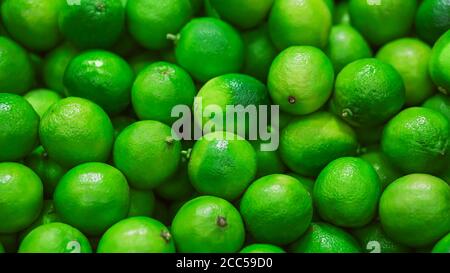 Bright green ripe fruits of refreshing lime lie in a pile, recently collected from the branches of trees. A rich harvest of citrus. Stock Photo