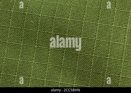 Green grid texture background. Fabric material macro Stock Photo