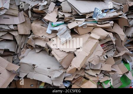 Paper urban trash for recycling. Cardboard and waste paper is collected and packaged for recycling. Stacked cardboard. Stock Photo