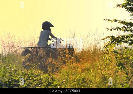 Rear view of young people driving a quad bike on a sunny day. Stock Photo