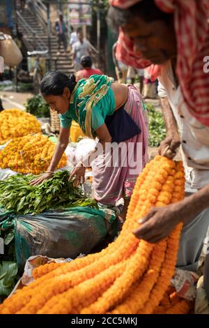 Vendors buy and sell beautiful garlands of marigold and lotus flowers at the Mullick Ghat Flower Market in Kolkata (Calcutta), India, South East Asia. Stock Photo