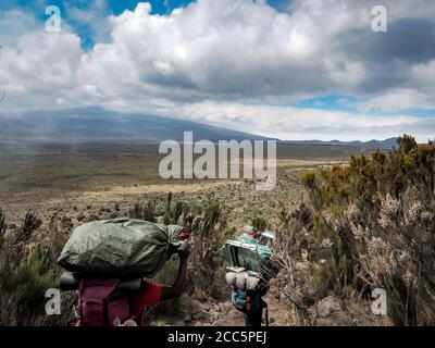 guides porters and sherpas carry heavy sacks as they ascend mount kilimanjaro the tallest peak in africa. Stock Photo