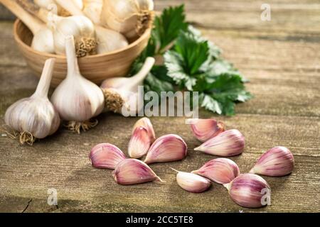 Fresh ripe garlic cloves and bulbs and celery leaves in bowl and vintage old wooden table. Healthy organic food, vitamins, BIO viands, natural backgro Stock Photo