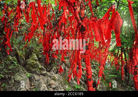 Zhangjiajie, China - May 10, 2017: Detail of red ribbons in Wish Forest Zhangjiajie National Park, China. Stock Photo