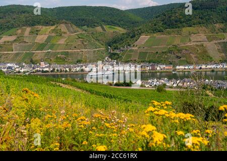 Moseltal, the wine village Zell an der Mosel, Rhineland-Palatinate, Germany Stock Photo
