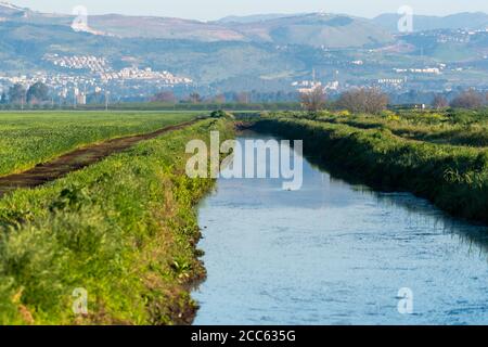 Israel, Hula Valley, The River Jordan as it passes through the Hula Valley Photographed in the winter Stock Photo