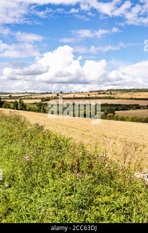 An open, rolling Cotswold landscape of harvested fields in August near the hamlet of Hampen, Gloucestershire UK